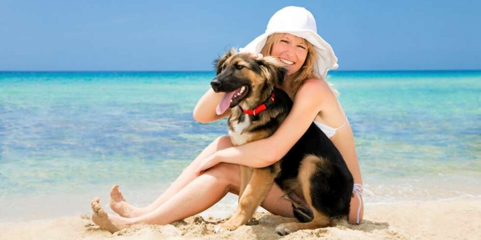 FERIE: Med Pet airways blir deg bedre for både deg og hunden å dra på ferie. FERIE: Med Pet airways blir deg bedre for både deg og hunden å dra på ferie.