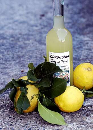LIMONCINO: Den lokale sitronlikøren smaker både søtt og friskt og nytes best kald. LIMONCINO: Den lokale sitronlikøren smaker både søtt og friskt og nytes best kald.