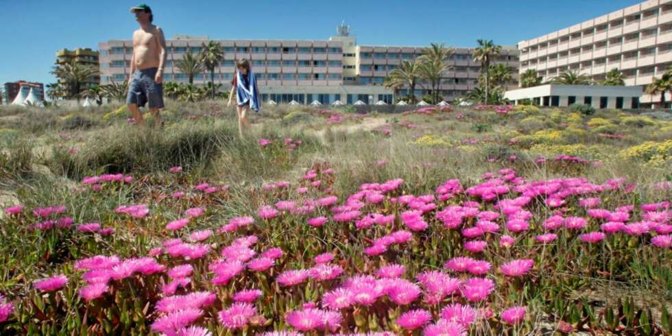 PROMENADE: El Saler-stranden like utenfor Valencia. PROMENADE: El Saler-stranden like utenfor Valencia.