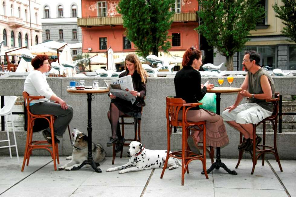 SPISE: Du finner en rekke gode restauranter og kafeer i Ljubljana og omegn. SPISE: Du finner en rekke gode restauranter og kafeer i Ljubljana og omegn.