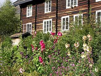 HISTORISK: På Aukrust gård finner du blant annet et "urteri". HISTORISK: På Aukrust gård finner du blant annet et "urteri".