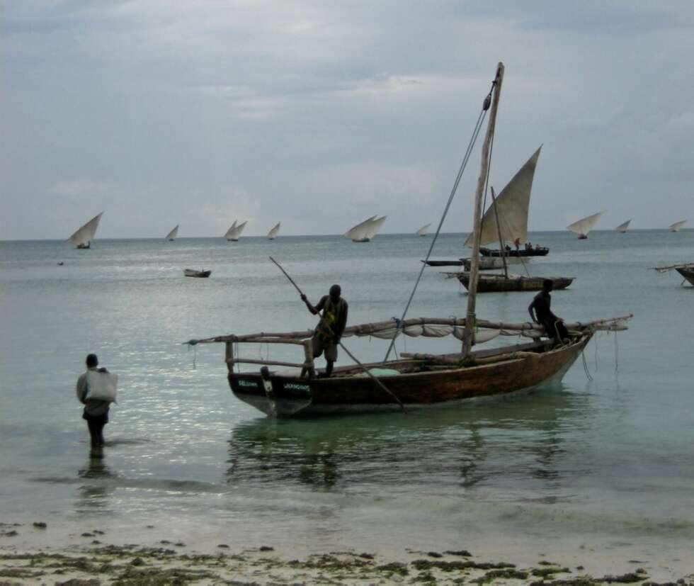PÅ JOBB: Det er et vakkert skue når fiskerne drar ut med sine karakteristiske seilbåter. Her på nordsiden av Zanzibar. PÅ JOBB: Det er et vakkert skue når fiskerne drar ut med sine karakteristiske seilbåter. Her på nordsiden av Zanzibar.