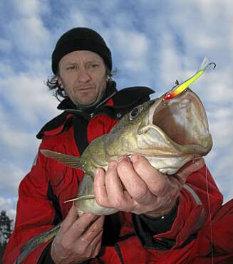 FAST FISK PÅ ISEN: Chris har fåt en pen torsk. FAST FISK PÅ ISEN: Chris har fåt en pen torsk.