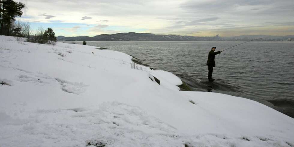 VINTER OG SJØØRRET: Midtvinters kan du oppleve godt sjøørett-fiske mange steder langs kysten. VINTER OG SJØØRRET: Midtvinters kan du oppleve godt sjøørett-fiske mange steder langs kysten.