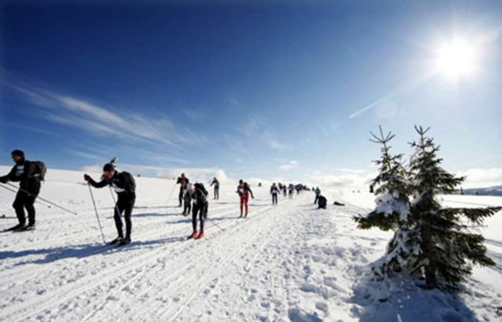 VAKKERT: Birken scorer høyt på natur, men det er ikke mange som heier underveis. VAKKERT: Birken scorer høyt på natur, men det er ikke mange som heier underveis.
