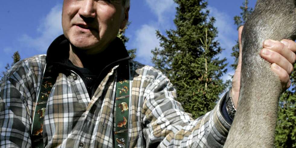 TRYSIL: Trysil er Norges desiderte nr. 1 når det gjelder elgfelling. Ole Martin Norderhaug (Ap) er ordfører, og selvsagt elgjeger. TRYSIL: Trysil er Norges desiderte nr. 1 når det gjelder elgfelling. Ole Martin Norderhaug (Ap) er ordfører, og selvsagt elgjeger.