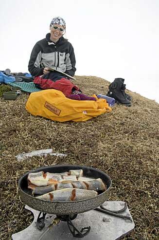 RAST: En rast på en snøfri flekk... RAST: En rast på en snøfri flekk...