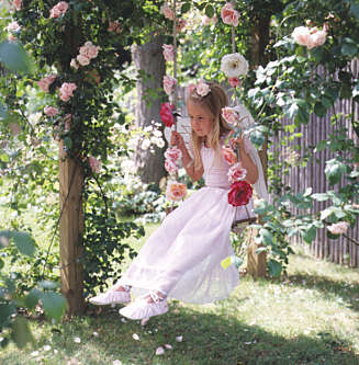 IDYLL: Roser forskjønner enhver hage. IDYLL: Roser forskjønner enhver hage.