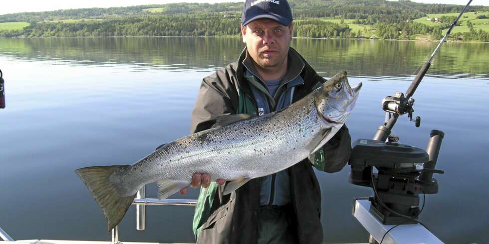 TROLLING- OG MJØSEKSPERT: Per Olav Kristensen er formann i Norges Trollingforbund og Mjøs-ekspert. Her med en pen ørret fra det første NM i Trolling på Mjøsa i 2004. (Foto: Chris Appleby). TROLLING- OG MJØSEKSPERT: Per Olav Kristensen er formann i Norges Trollingforbund og Mjøs-ekspert. Her med en pen ørret fra det første NM i Trolling på Mjøsa i 2004. (Foto: Chris Appleby).