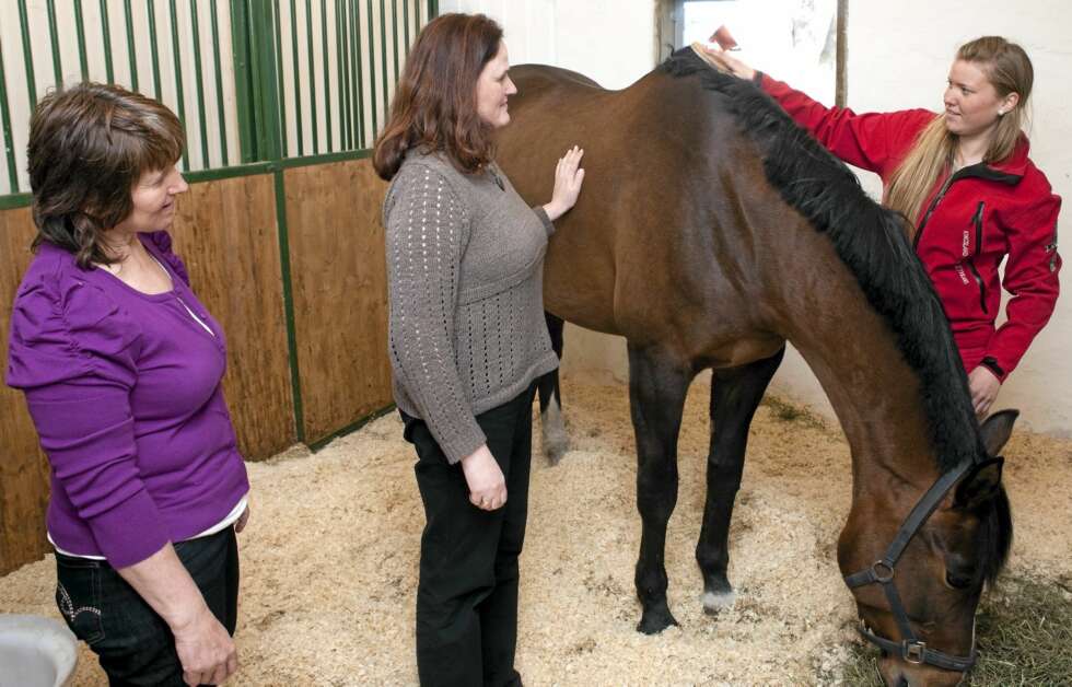 Hurrycane hadde fysiske plager som ikke eierne visste om. Fra venstre Gunn, Sissel og Rakel. Hurrycane hadde fysiske plager som ikke eierne visste om. Fra venstre Gunn, Sissel og Rakel.