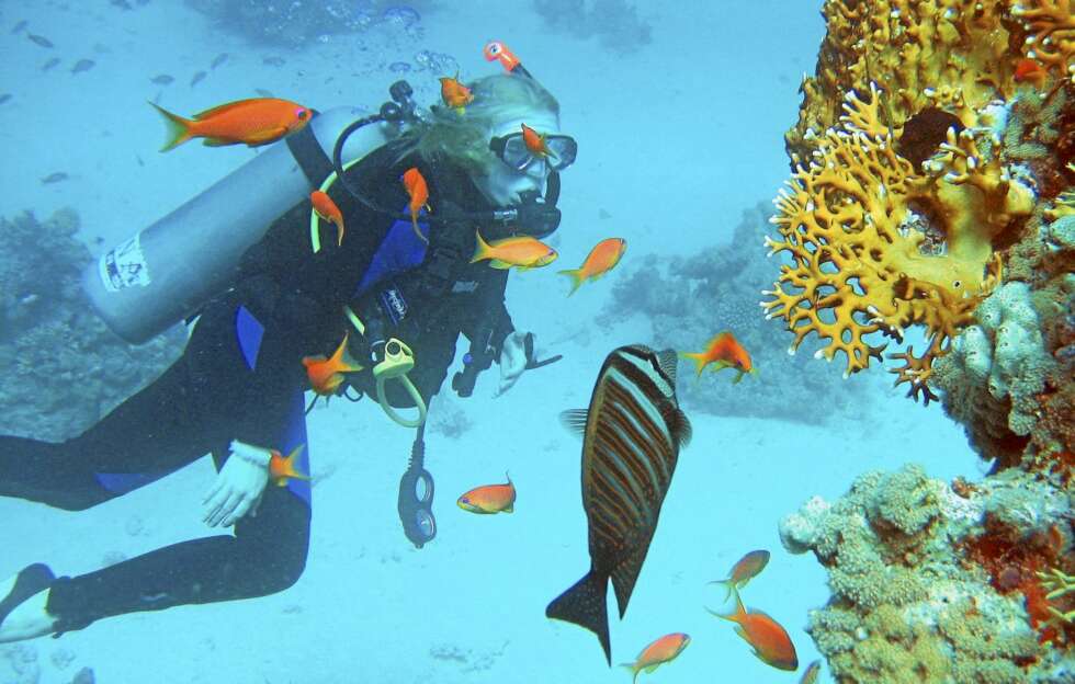 Med snorkel og maske kan du utforske eventyret også under vannflaten. Med snorkel og maske kan du utforske eventyret også under vannflaten.
