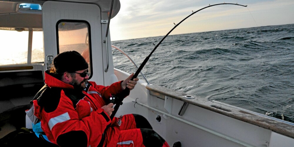 FIGHTENDE FORLEGGER: Finn Jørgen solberg, sjefen for Vega forlag, kjemper med sin livs fisk, men taper. Han fikk imidlertid en slappfisk på drøye 13 kg som plaster på såret. FIGHTENDE FORLEGGER: Finn Jørgen solberg, sjefen for Vega forlag, kjemper med sin livs fisk, men taper. Han fikk imidlertid en slappfisk på drøye 13 kg som plaster på såret.