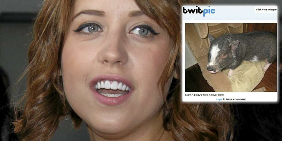 DITT SVIN: Peaches Geldof har fått erfare at det ikke er noen spøk å ha en pubertal minigris i huset. DITT SVIN: Peaches Geldof har fått erfare at det ikke er noen spøk å ha en pubertal minigris i huset.