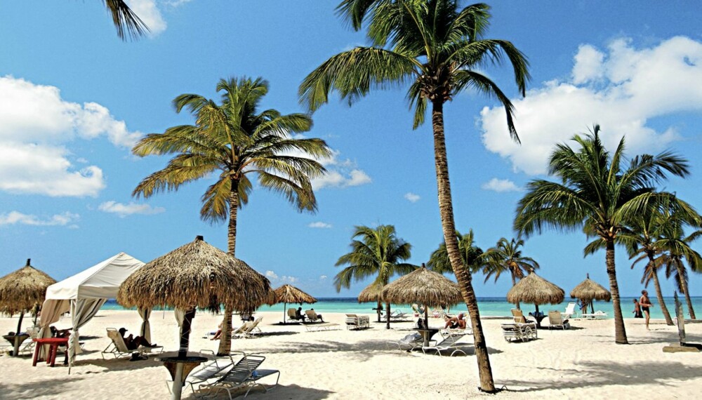 Aruba (Foto: Ving) Aruba (Foto: Ving)