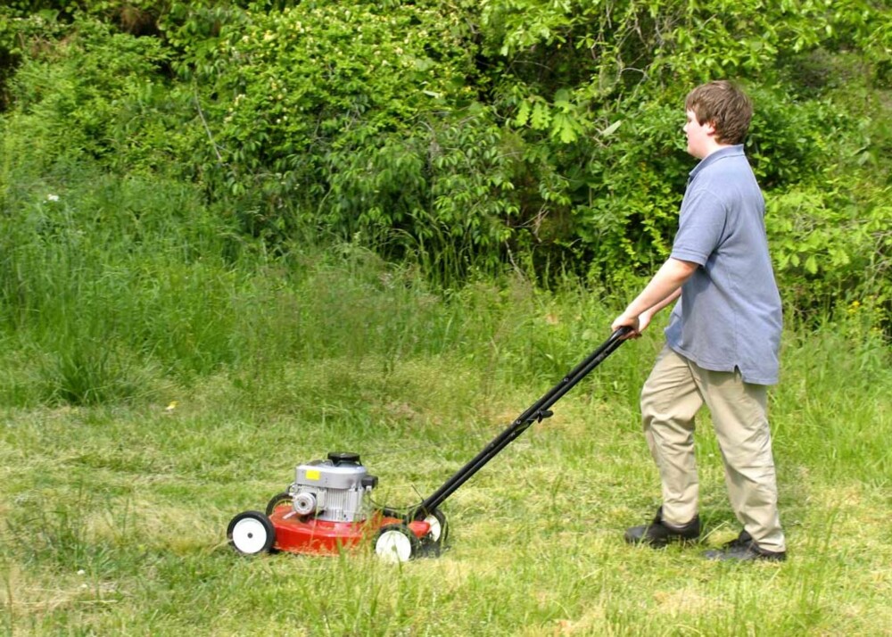 Sørg for at gressklipperen har skarpe blader/kniver. Sløve knivblader gjør at gresset flikes opp, og gule gresstupper blir resultatet. Sørg for at gressklipperen har skarpe blader/kniver. Sløve knivblader gjør at gresset flikes opp, og gule gresstupper blir resultatet.