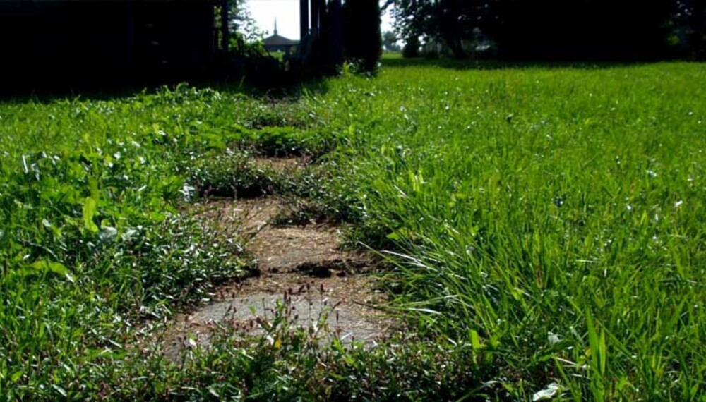 Håpet er ikke ute selv om problemene tårner seg opp i plenen. Håpet er ikke ute selv om problemene tårner seg opp i plenen.