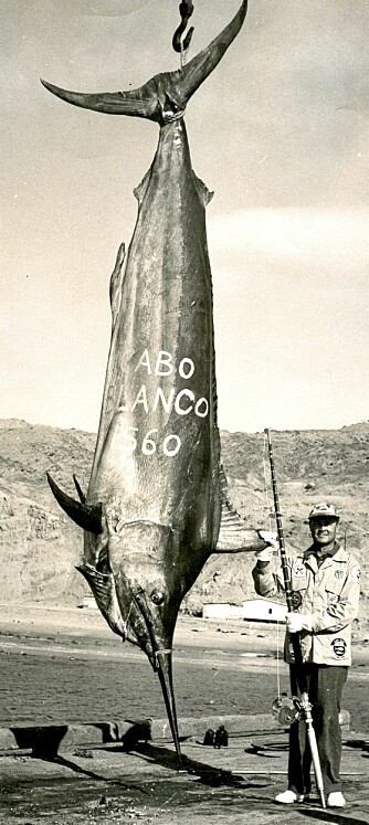 I GAMLE DAGER: Alfred C. Glassell brukte blant annet en god, gammel Fin-Nor 130-punds multiplikatorsnelle da han tok den nesten 4,5 meter lange verdensrekorden på svart marlin utenfor Peru i 1953. Glassell regnes som en av big game-fiskets store legender. I GAMLE DAGER: Alfred C. Glassell brukte blant annet en god, gammel Fin-Nor 130-punds multiplikatorsnelle da han tok den nesten 4,5 meter lange verdensrekorden på svart marlin utenfor Peru i 1953. Glassell regnes som en av big game-fiskets store legender.