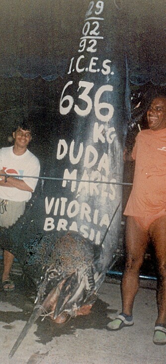 BIG BLUE: Paulo Amorims 636-kilos blå marlin ble tatt på en rosa og hvit Super Chugger (blekksprutimitasjon) under dorging utenfor Vitoria i Brasil i 1992. BIG BLUE: Paulo Amorims 636-kilos blå marlin ble tatt på en rosa og hvit Super Chugger (blekksprutimitasjon) under dorging utenfor Vitoria i Brasil i 1992.