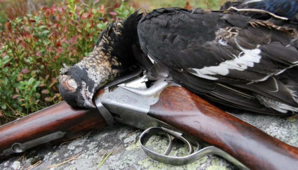 Hva skal du velge? Valg av hagle er ikke lett, men har mye å si for jaktgleden. (Foto: Jørund Lien) Hva skal du velge? Valg av hagle er ikke lett, men har mye å si for jaktgleden. (Foto: Jørund Lien)