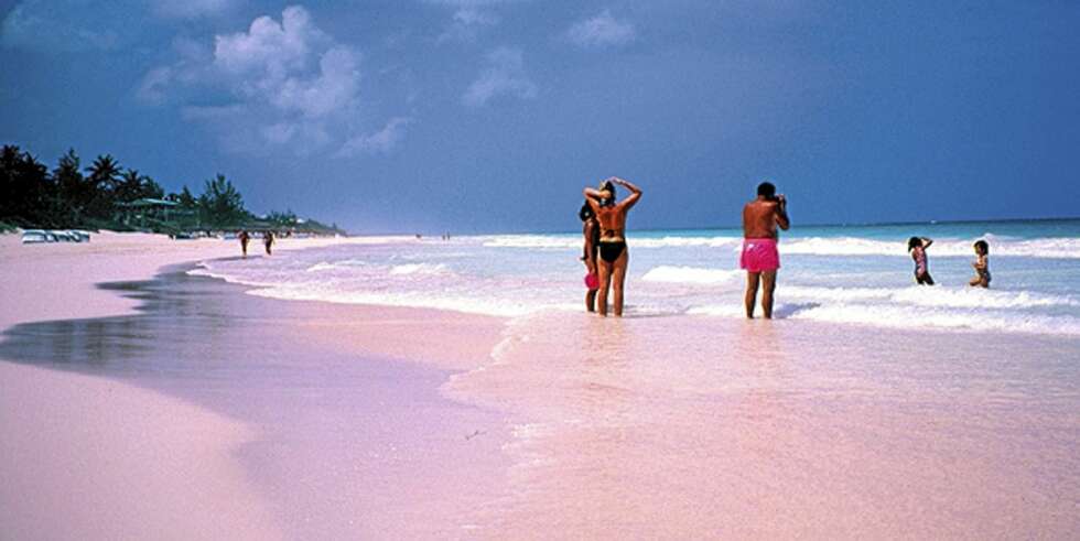 Pink Sands Beach Pink Sands Beach