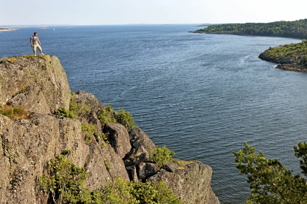 Rauøy Rauøy