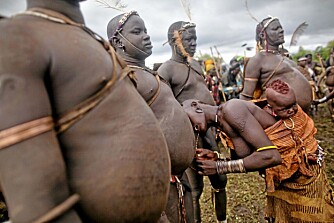 Wer wird König Dickbauch? Wer wird König Dickbauch?