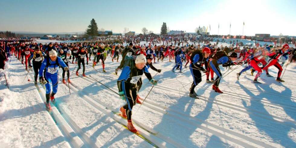 Noen som trenger et spark i baken for å komme i gang? Meld han eller henne på et mosjonsritt, renn, løp... Birkebeinerpåmelding som gave kan kanskje bli suksess? Noen som trenger et spark i baken for å komme i gang? Meld han eller henne på et mosjonsritt, renn, løp... Birkebeinerpåmelding som gave kan kanskje bli suksess?
