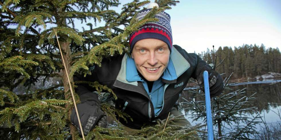 PERFEKT TRE: Etter mange år i gamet vet Svein Bøylestad godt hva som er et fint juletre. ¿ Men det gjeveste står hjemme i stuen, ler «Jakten på kjærligheten»-bonden. PERFEKT TRE: Etter mange år i gamet vet Svein Bøylestad godt hva som er et fint juletre. ¿ Men det gjeveste står hjemme i stuen, ler «Jakten på kjærligheten»-bonden.