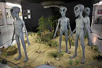 Det merkelige er at alle tegninger og dukker, som skal forestille romvesenene som krasjlandet utenfor Roswell i 1947, ser omtrent slik ut. Noen er grønne, andre grå. Men ansikt, øyne og kropp er likt på alle sammen. Det merkelige er at alle tegninger og dukker, som skal forestille romvesenene som krasjlandet utenfor Roswell i 1947, ser omtrent slik ut. Noen er grønne, andre grå. Men ansikt, øyne og kropp er likt på alle sammen.