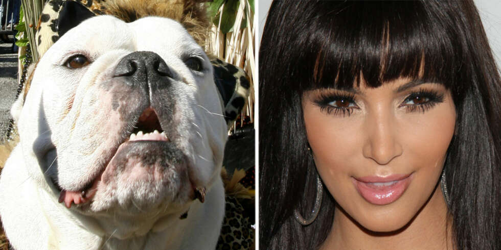 DANKET UT AV BULLDOG: Kim Kardashian møter motgang - også i forretningslivet om dagen. DANKET UT AV BULLDOG: Kim Kardashian møter motgang - også i forretningslivet om dagen.