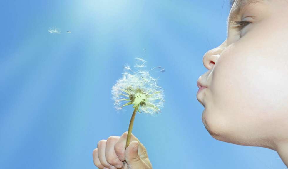 Ren luft er best! Illustrasjonsfoto: Colourbox.no Ren luft er best! Illustrasjonsfoto: Colourbox.no