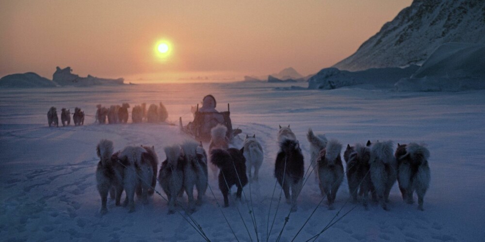 Inuittjegere og deres hundespann kjører inn i solnedgangen etter nok en dag med vellykket jakt på isen. Inuittjegere og deres hundespann kjører inn i solnedgangen etter nok en dag med vellykket jakt på isen.