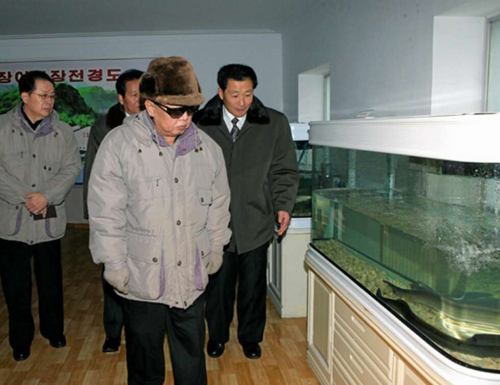 Kim Jung Il ser på akvarium. Kim Jung Il ser på akvarium.