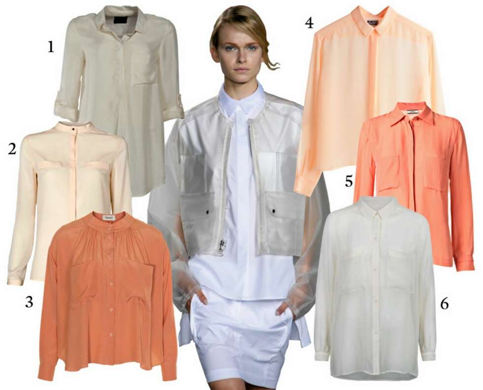 TRANSPARENTE BLUSER: 3.1 Phillip Lim. 1: Gestuz, kr 999. 2: Mango, kr 349. 3: Ganni, kr 799. 4: Weekday, kr 400. 5: by Malene Birger, kr 1999. 6: Won Hundred, kr 1700. TRANSPARENTE BLUSER: 3.1 Phillip Lim. 1: Gestuz, kr 999. 2: Mango, kr 349. 3: Ganni, kr 799. 4: Weekday, kr 400. 5: by Malene Birger, kr 1999. 6: Won Hundred, kr 1700.