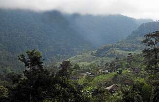 Her oppe i Cotopaxi-regionen i de ecuadorianske Andesfjellene produseres alkoholen til The Body Shops eau de cologne-serie. Her oppe i Cotopaxi-regionen i de ecuadorianske Andesfjellene produseres alkoholen til The Body Shops eau de cologne-serie.