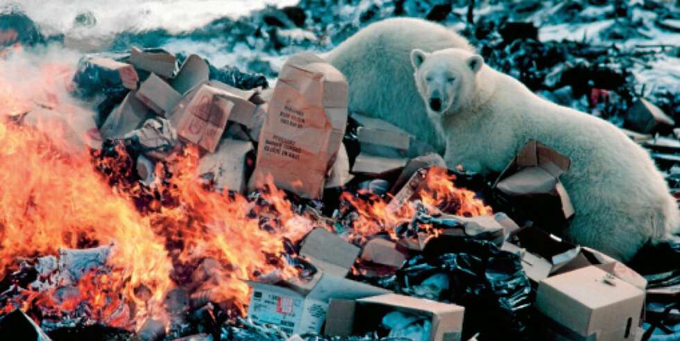 Isbjørner prøver å sikre seg noe å spise før flammene tar avfallet på denne søppelfyllingen i Churchill ved Hudson Bay i Canada. Isbjørner prøver å sikre seg noe å spise før flammene tar avfallet på denne søppelfyllingen i Churchill ved Hudson Bay i Canada.