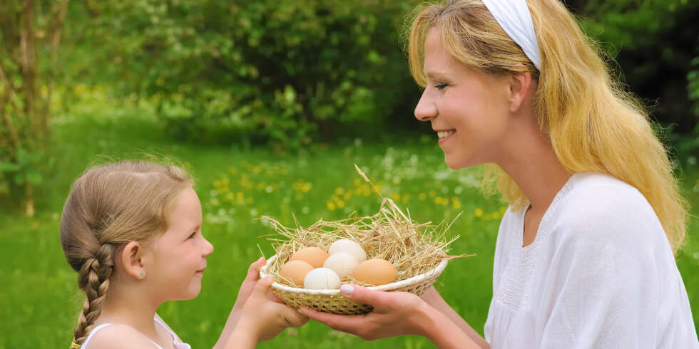 BRA KILDE: Egg bidrar med viktige proteiner til kroppen din. BRA KILDE: Egg bidrar med viktige proteiner til kroppen din.