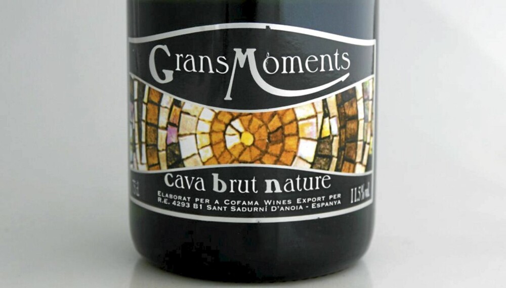 TEST AV CAVA: Vi har testet cava. Her er den beste under 120 kroner. TEST AV CAVA: Vi har testet cava. Her er den beste under 120 kroner.