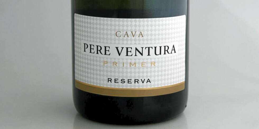 TEST AV CAVA: Vi har testet cava. Her er den beste under 120 kroner. TEST AV CAVA: Vi har testet cava. Her er den beste under 120 kroner.