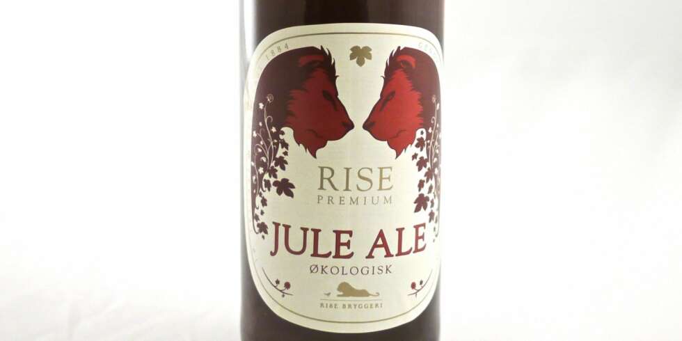 Rise Juleale Rise Juleale