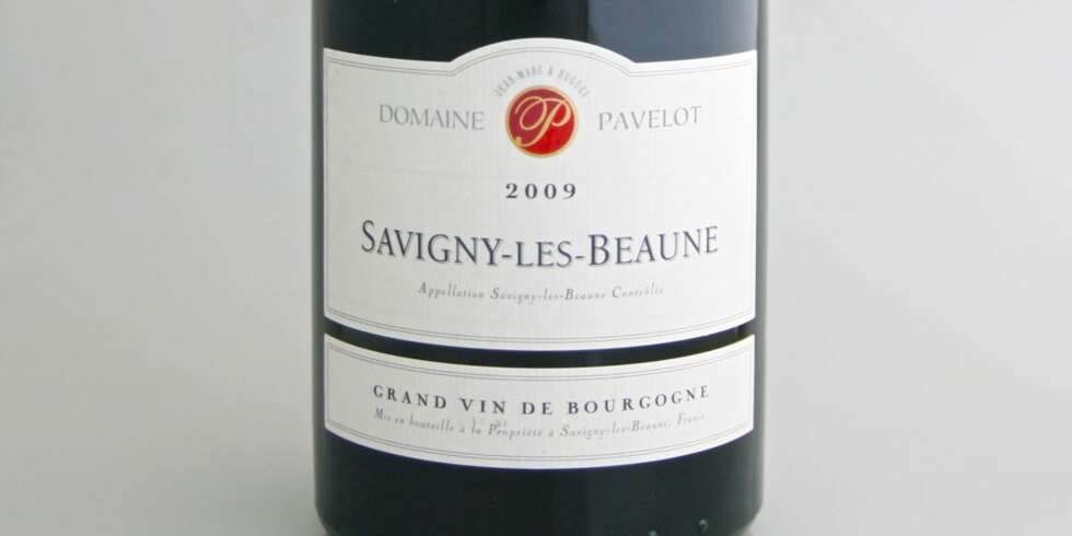 GOD ANDEVIN: Pavelot Savigny-les-Beaune 2009 GOD ANDEVIN: Pavelot Savigny-les-Beaune 2009