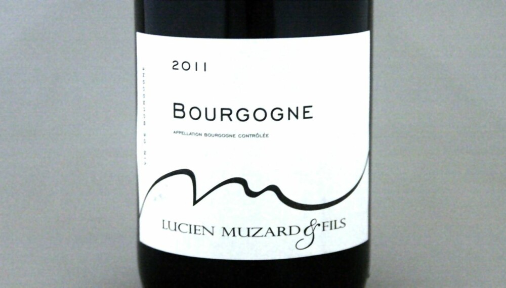 VIN TIL KYLLING: Muzard Bourgogne 2012. VIN TIL KYLLING: Muzard Bourgogne 2012.