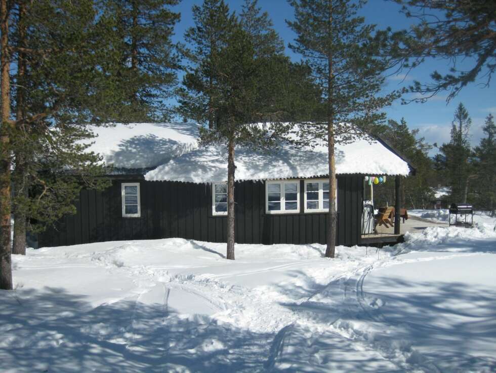 Gode minner på Vikerfjell. Gode minner på Vikerfjell.