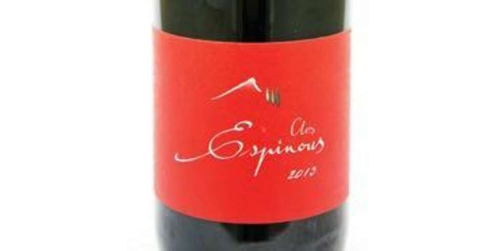 GOD VIN: Jalliet Clos Espinous 2013. GOD VIN: Jalliet Clos Espinous 2013.
