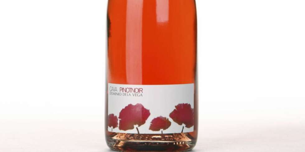 Dominio de la Vega Brut Pinot Noir. Dominio de la Vega Brut Pinot Noir.