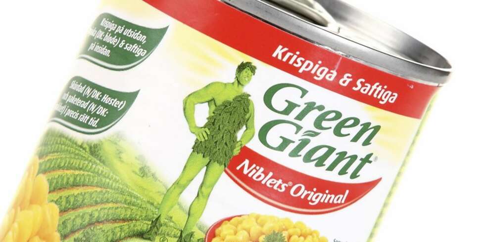 IKKE VEDRT PENGENE: Ingen vits å bruke mye penger på maiskorn. IKKE VEDRT PENGENE: Ingen vits å bruke mye penger på maiskorn.