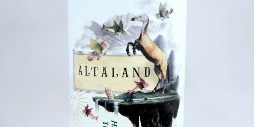 GOD GRILLVIN: Altaland High Altitude Malbec Tupungato 2013. GOD GRILLVIN: Altaland High Altitude Malbec Tupungato 2013.