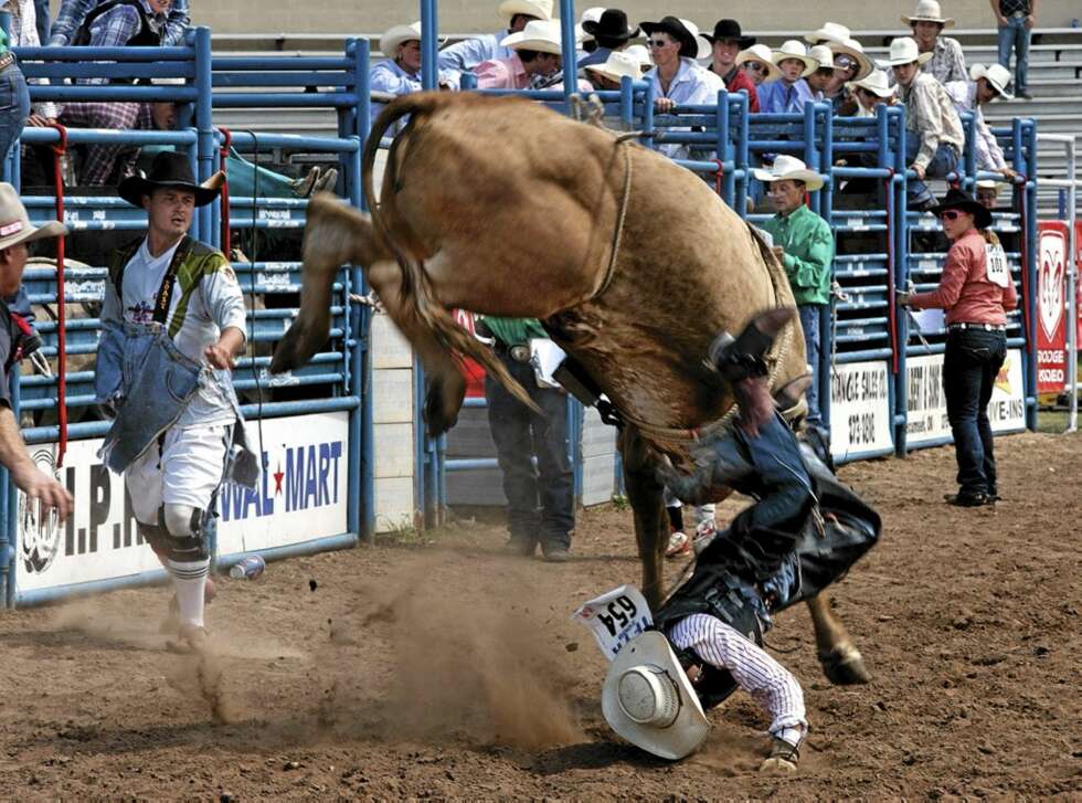 OPS: HEr går cowboyen i bakken - og må passe seg for hovene til oksen. OPS: HEr går cowboyen i bakken - og må passe seg for hovene til oksen.
