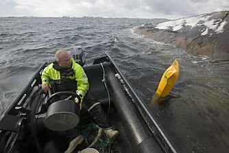PLUKKER OPP: Tore Vasseng bruker ofte lettbåten for å plukke nett med kamsjell fra overflaten. PLUKKER OPP: Tore Vasseng bruker ofte lettbåten for å plukke nett med kamsjell fra overflaten.