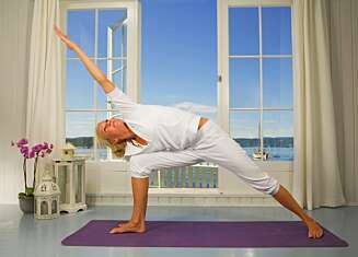 PARSVA KONASANA PARSVA KONASANA